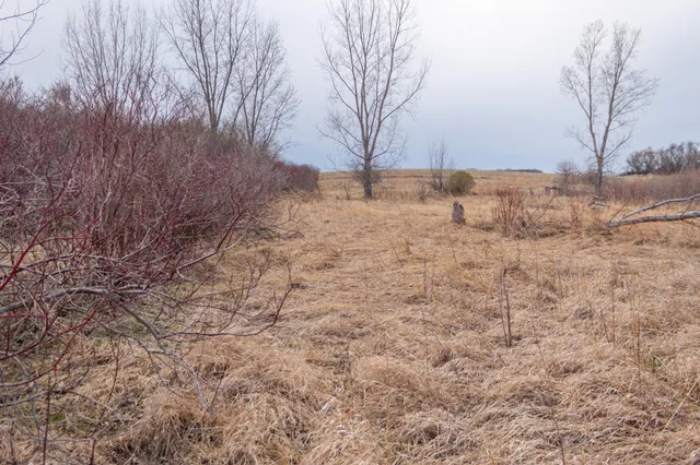 $585,300 | Tbd 170th Street, Madison, MN 56256