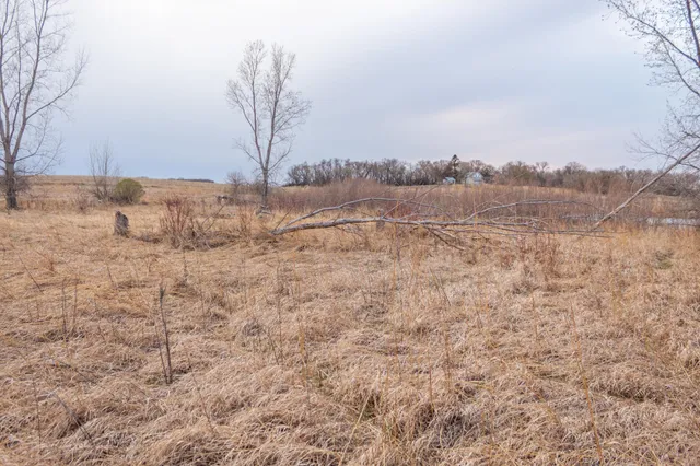 $585,300 | Tbd 170th Street, Madison, MN 56256