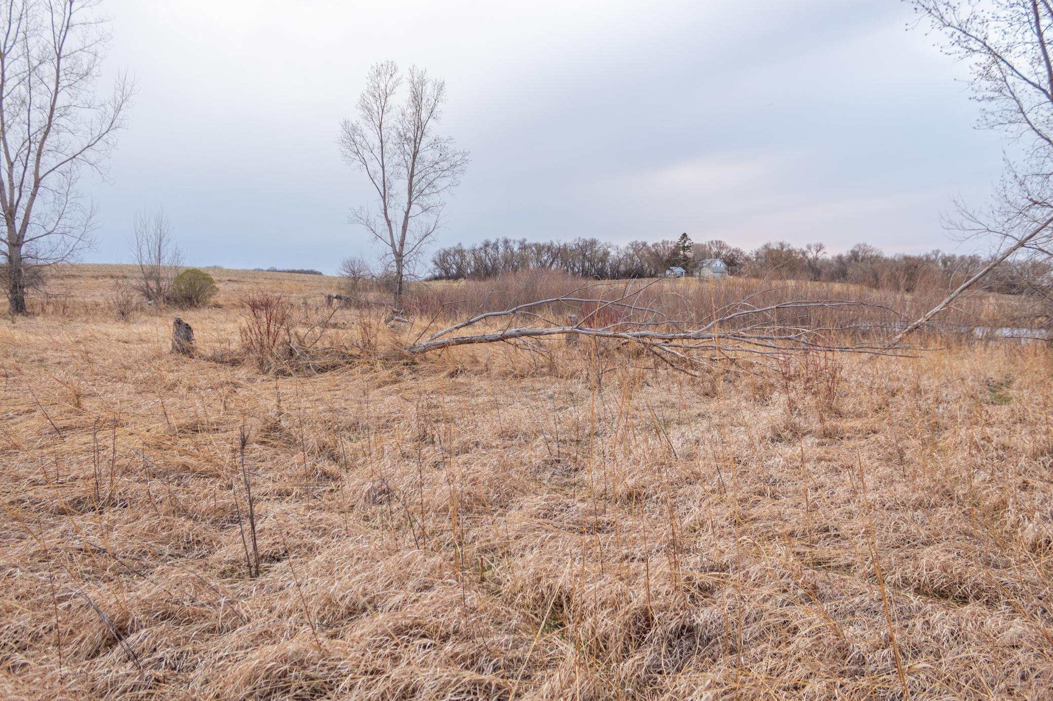 Tbd 170th Street Madison, MN 56256 - Photo 35 of 59