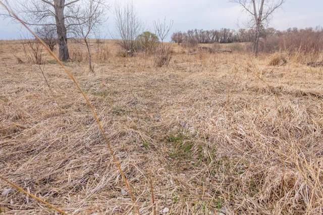 $585,300 | Tbd 170th Street, Madison, MN 56256