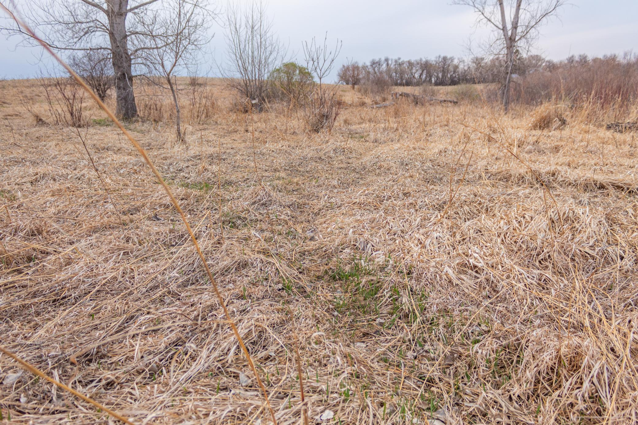 Tbd 170th Street Madison, MN 56256 - Photo 37 of 59