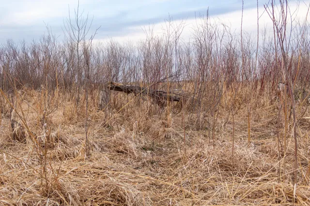 $585,300 | Tbd 170th Street, Madison, MN 56256