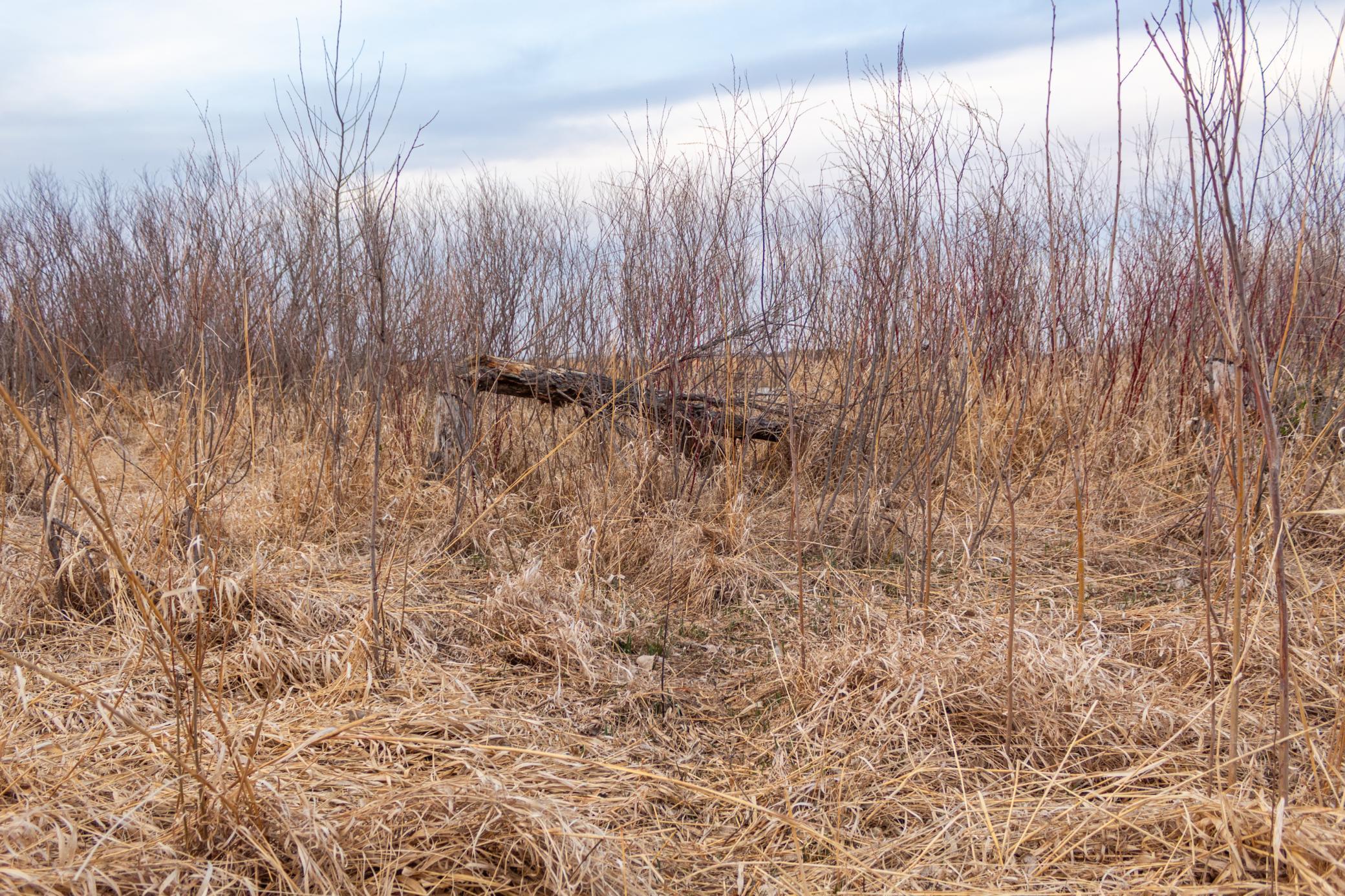 Tbd 170th Street Madison, MN 56256 - Photo 39 of 59