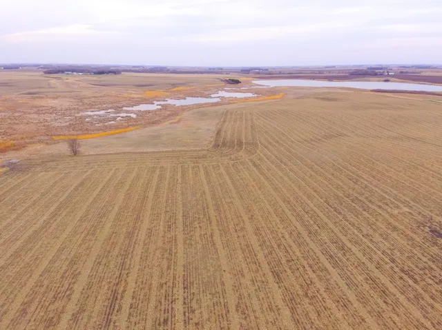 $585,300 | Tbd 170th Street, Madison, MN 56256