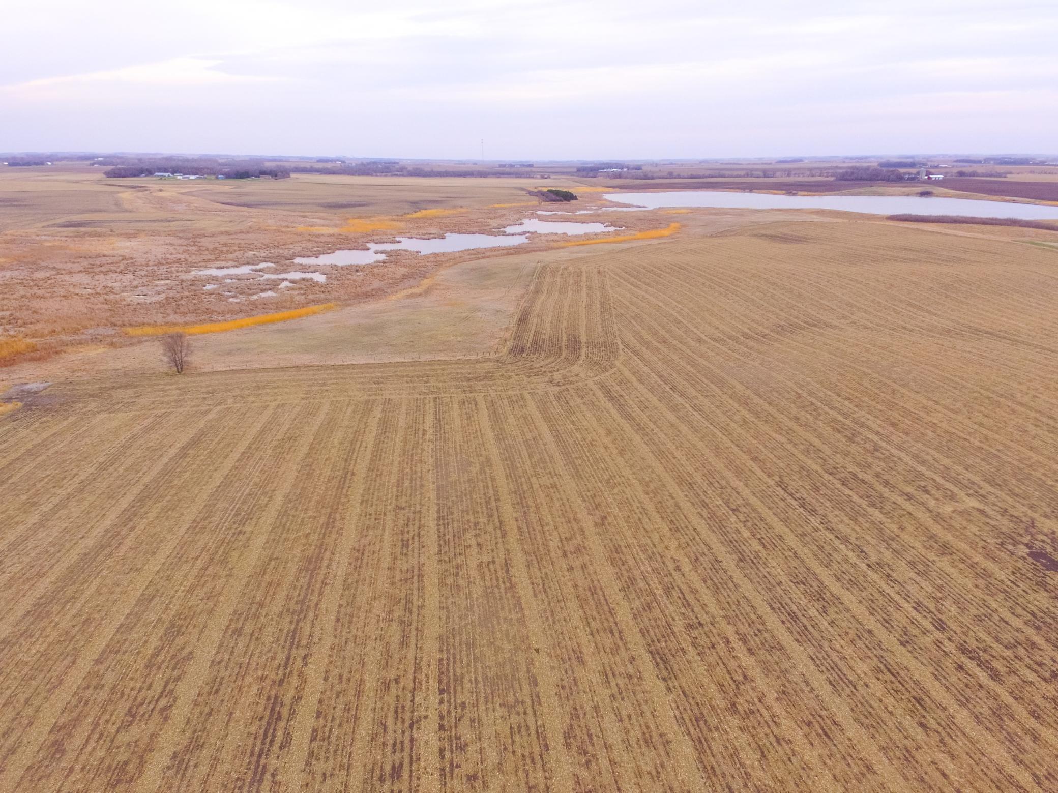 Tbd 170th Street Madison, MN 56256 - Photo 4 of 59