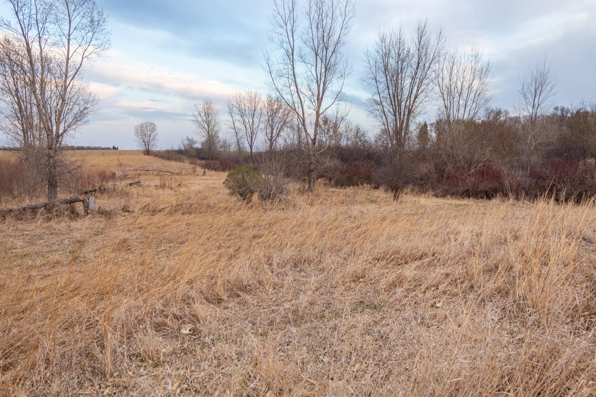 Tbd 170th Street Madison, MN 56256 - Photo 41 of 59