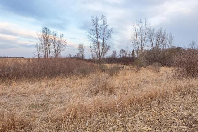 $585,300 | Tbd 170th Street, Madison, MN 56256