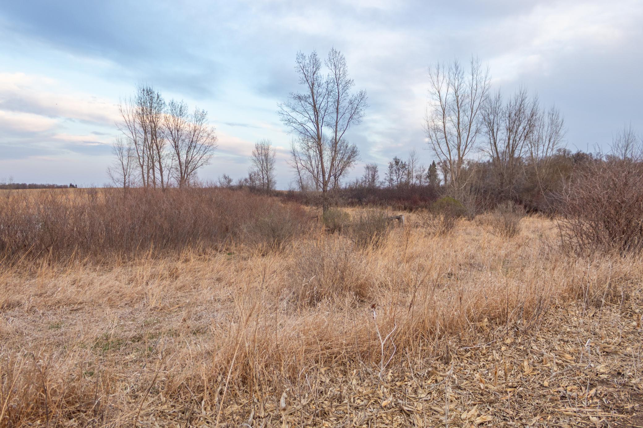 Tbd 170th Street Madison, MN 56256 - Photo 42 of 59