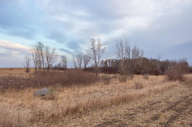 $585,300 | Tbd 170th Street, Madison, MN 56256