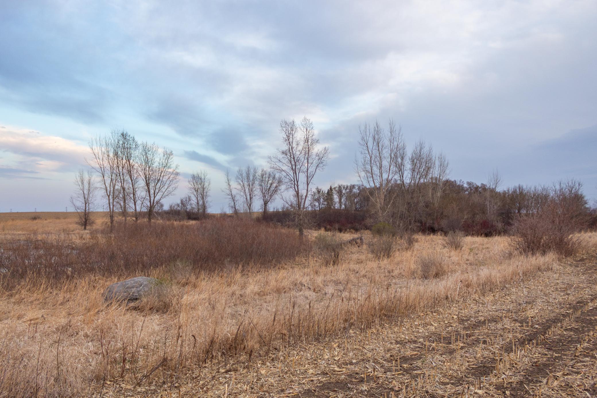 Tbd 170th Street Madison, MN 56256 - Photo 43 of 59