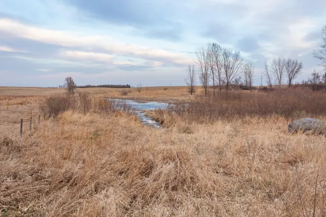 $585,300 | Tbd 170th Street, Madison, MN 56256