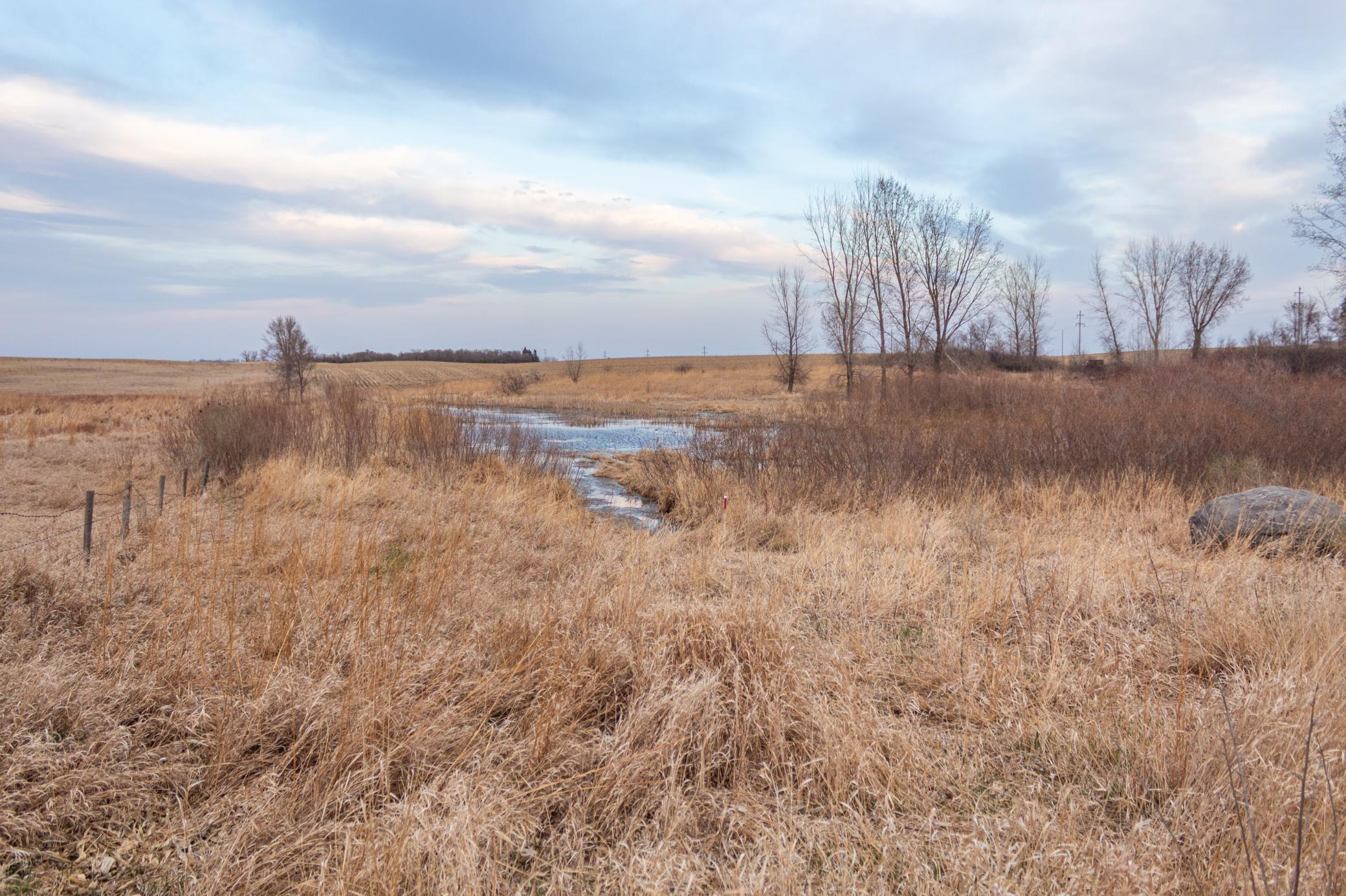 Tbd 170th Street Madison, MN 56256 - Photo 45 of 59