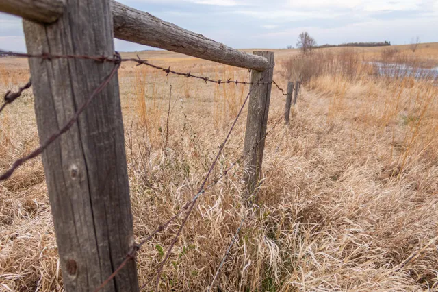 $585,300 | Tbd 170th Street, Madison, MN 56256