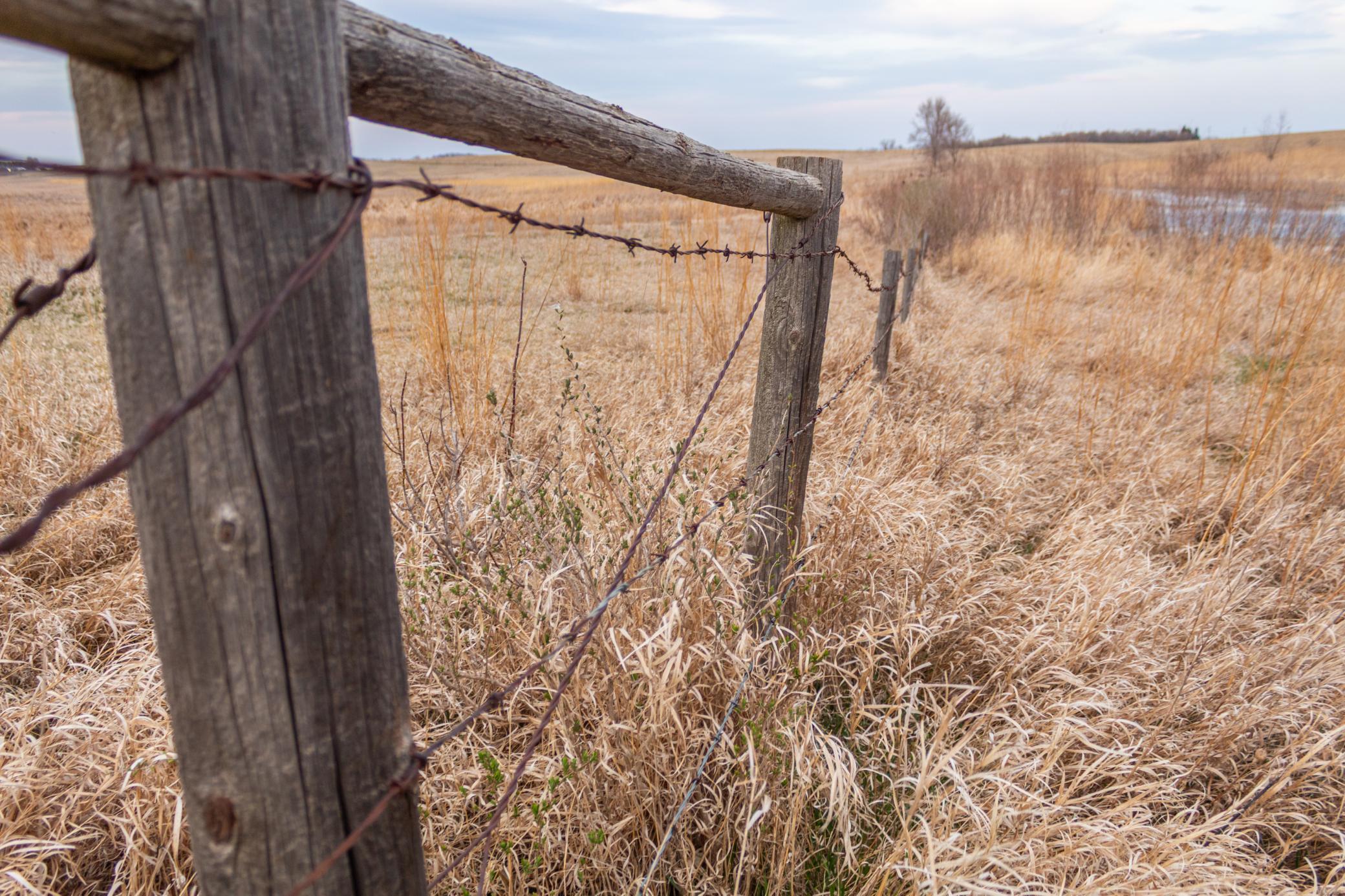 Tbd 170th Street Madison, MN 56256 - Photo 46 of 59
