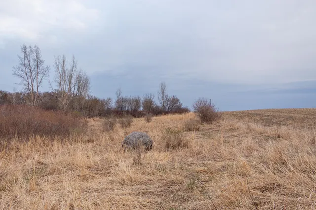 $585,300 | Tbd 170th Street, Madison, MN 56256