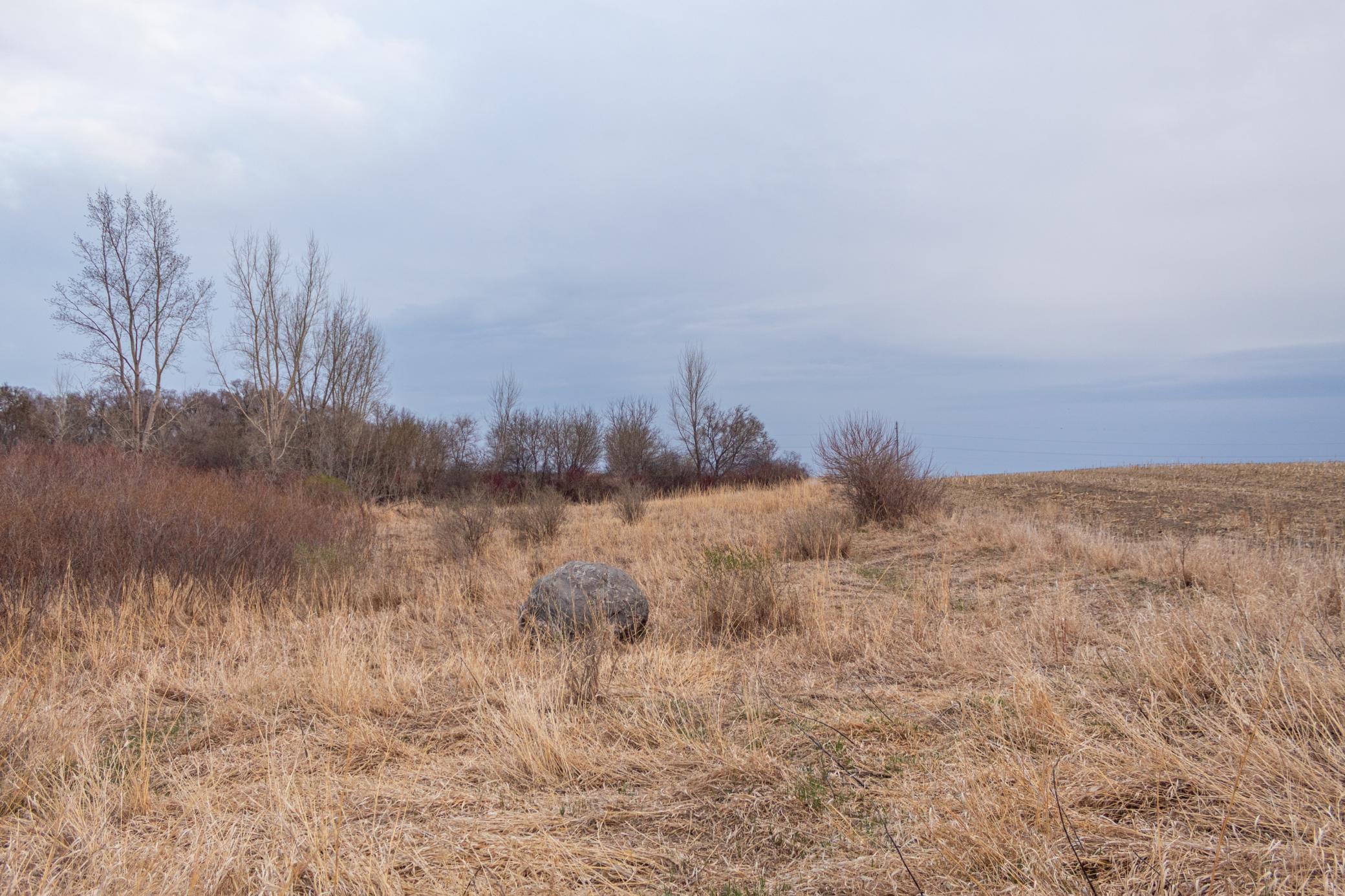 Tbd 170th Street Madison, MN 56256 - Photo 47 of 59