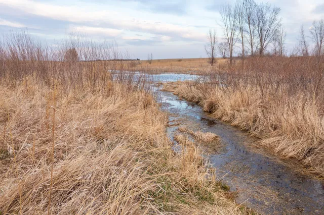 $585,300 | Tbd 170th Street, Madison, MN 56256