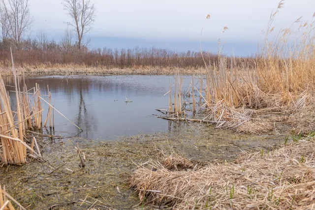 $585,300 | Tbd 170th Street, Madison, MN 56256