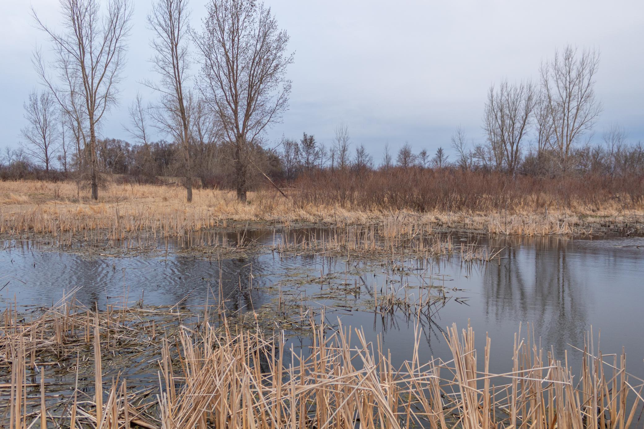 Tbd 170th Street Madison, MN 56256 - Photo 51 of 59