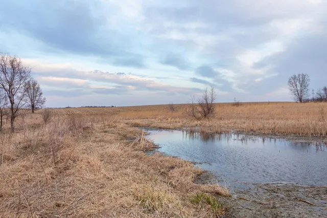 $585,300 | Tbd 170th Street, Madison, MN 56256