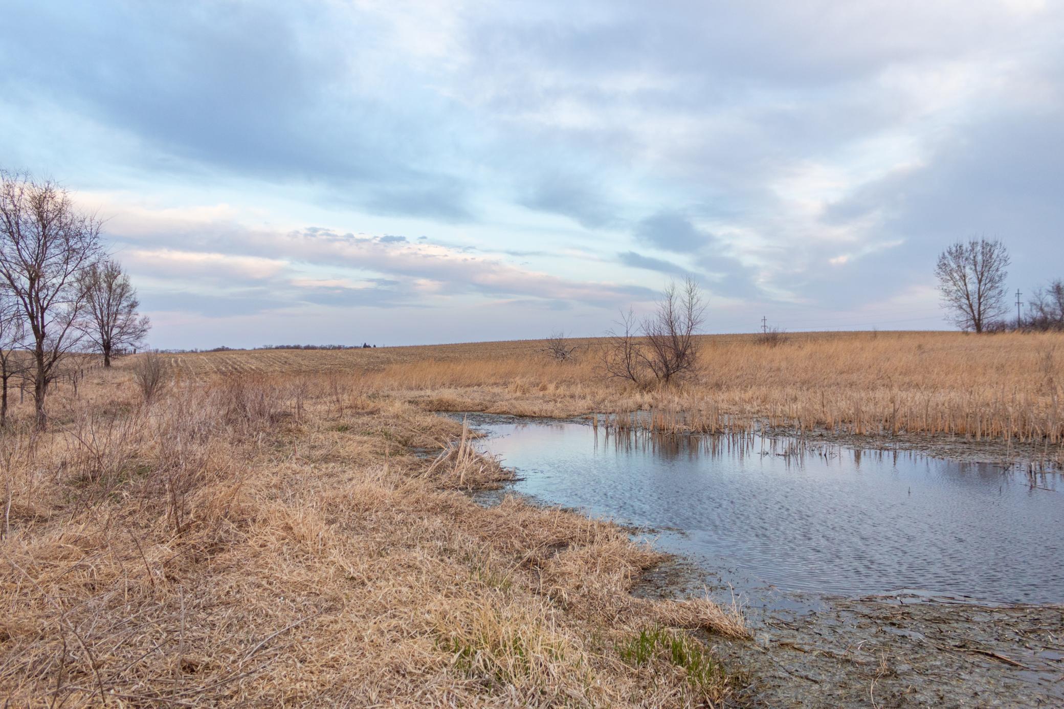Tbd 170th Street Madison, MN 56256 - Photo 52 of 59