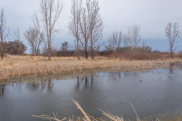 $585,300 | Tbd 170th Street, Madison, MN 56256