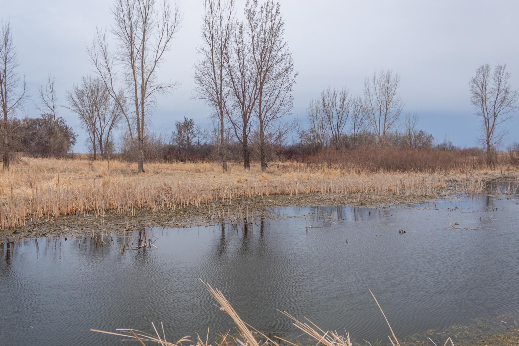 Tbd 170th Street Madison, MN 56256 - Photo 53 of 59