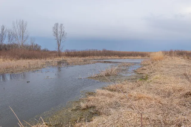 $585,300 | Tbd 170th Street, Madison, MN 56256