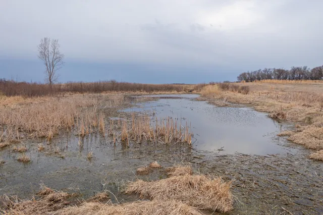 $585,300 | Tbd 170th Street, Madison, MN 56256