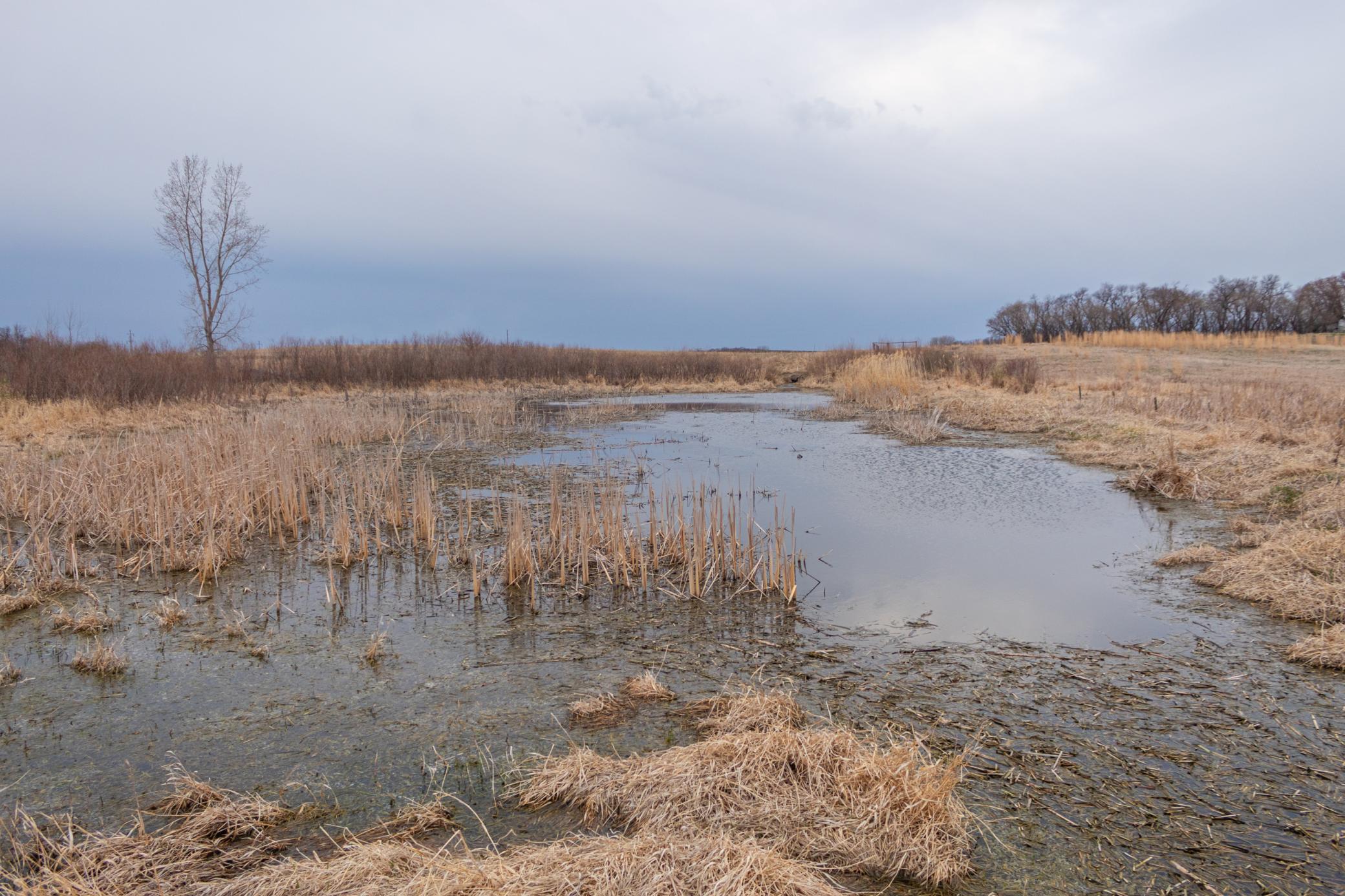 Tbd 170th Street Madison, MN 56256 - Photo 55 of 59