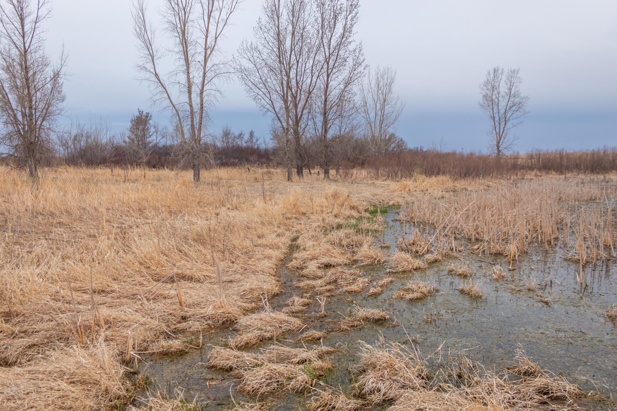 Tbd 170th Street Madison, MN 56256 - Photo 56 of 59