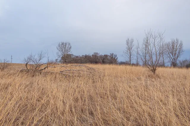 $585,300 | Tbd 170th Street, Madison, MN 56256