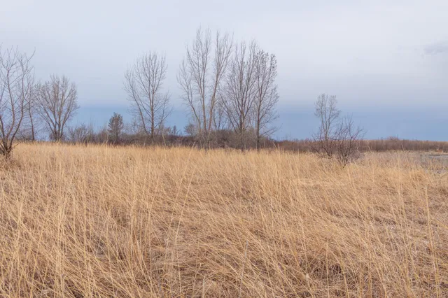 $585,300 | Tbd 170th Street, Madison, MN 56256