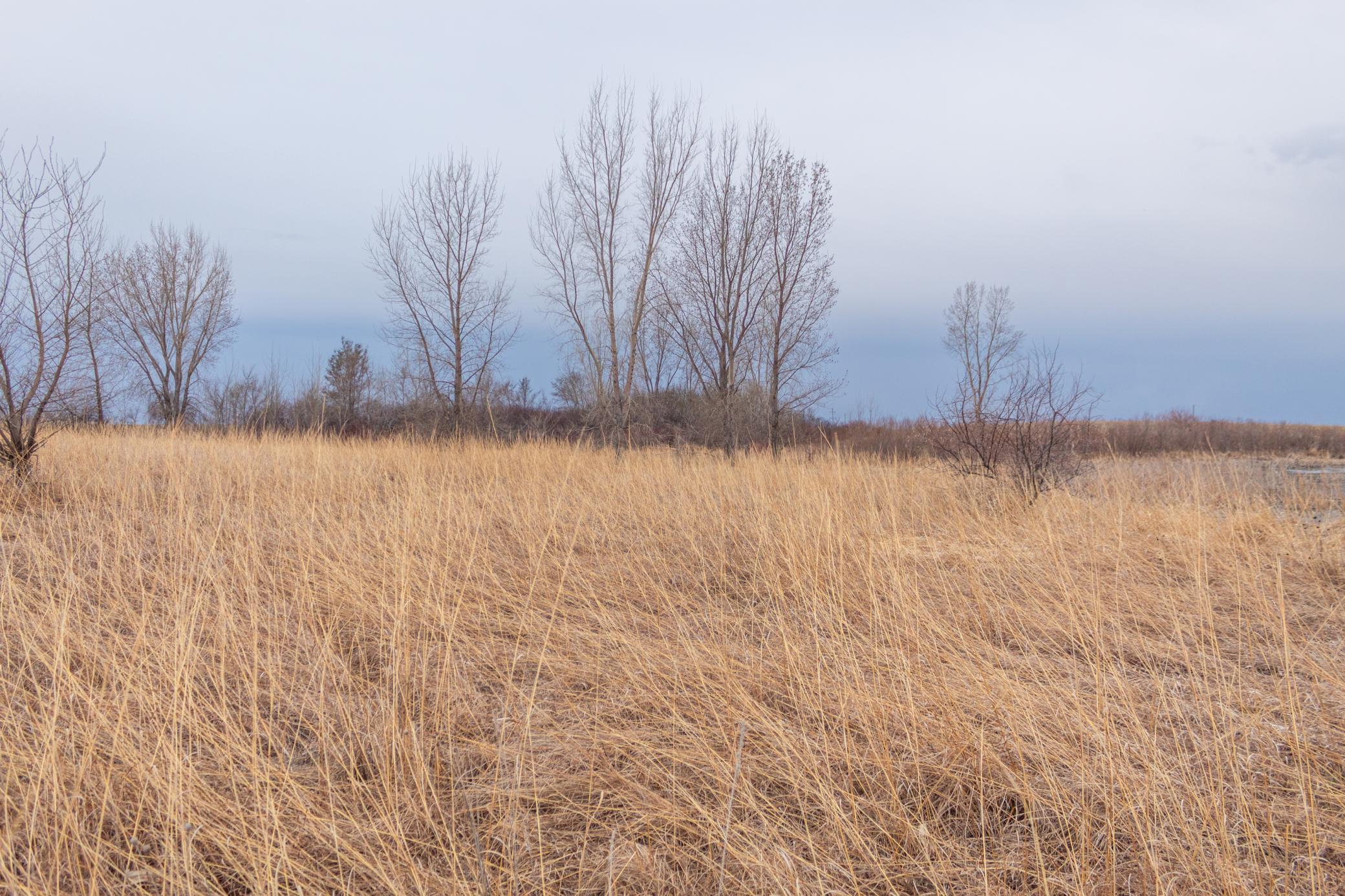 Tbd 170th Street Madison, MN 56256 - Photo 58 of 59