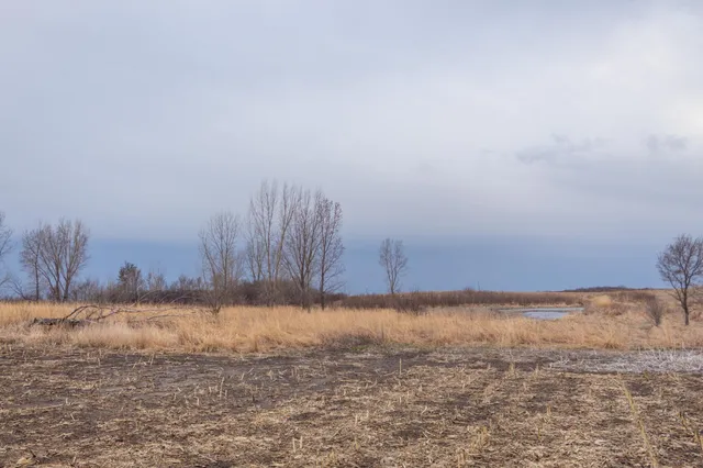 $585,300 | Tbd 170th Street, Madison, MN 56256