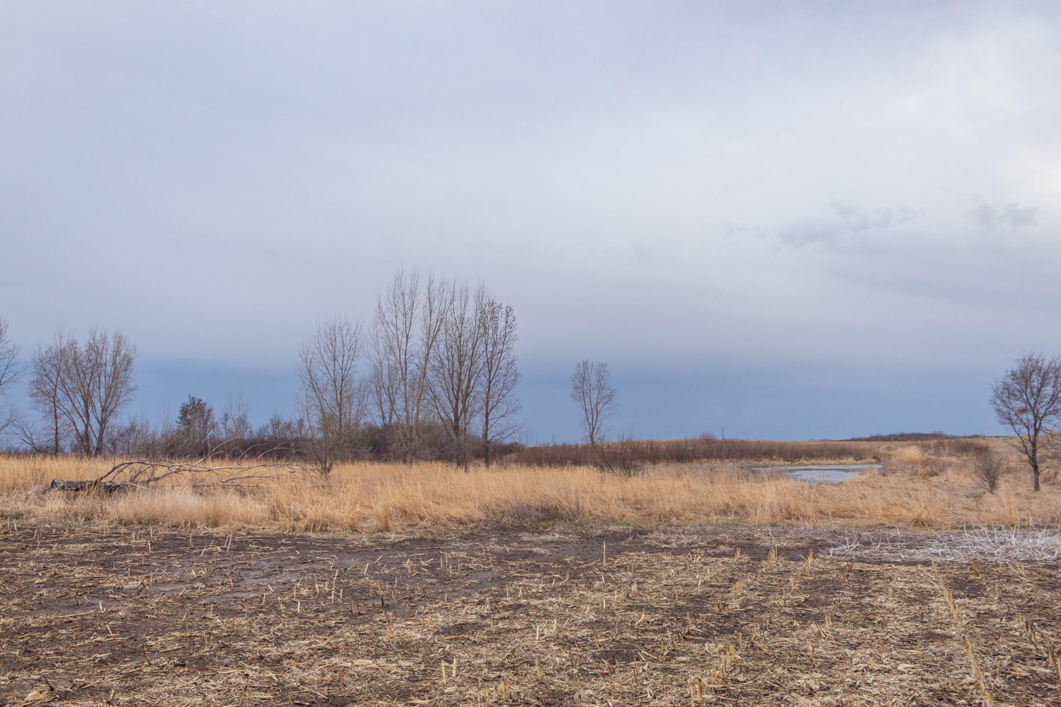 Tbd 170th Street Madison, MN 56256 - Photo 59 of 59