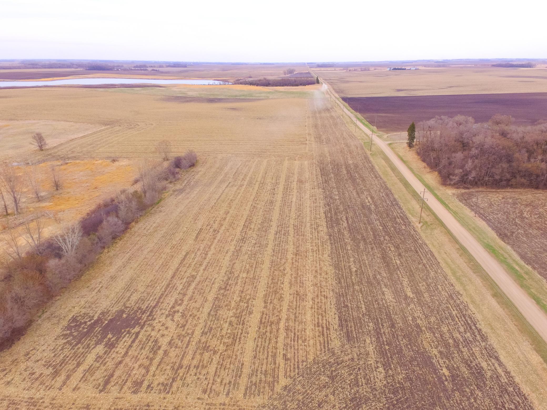 Tbd 170th Street Madison, MN 56256 - Photo 6 of 59