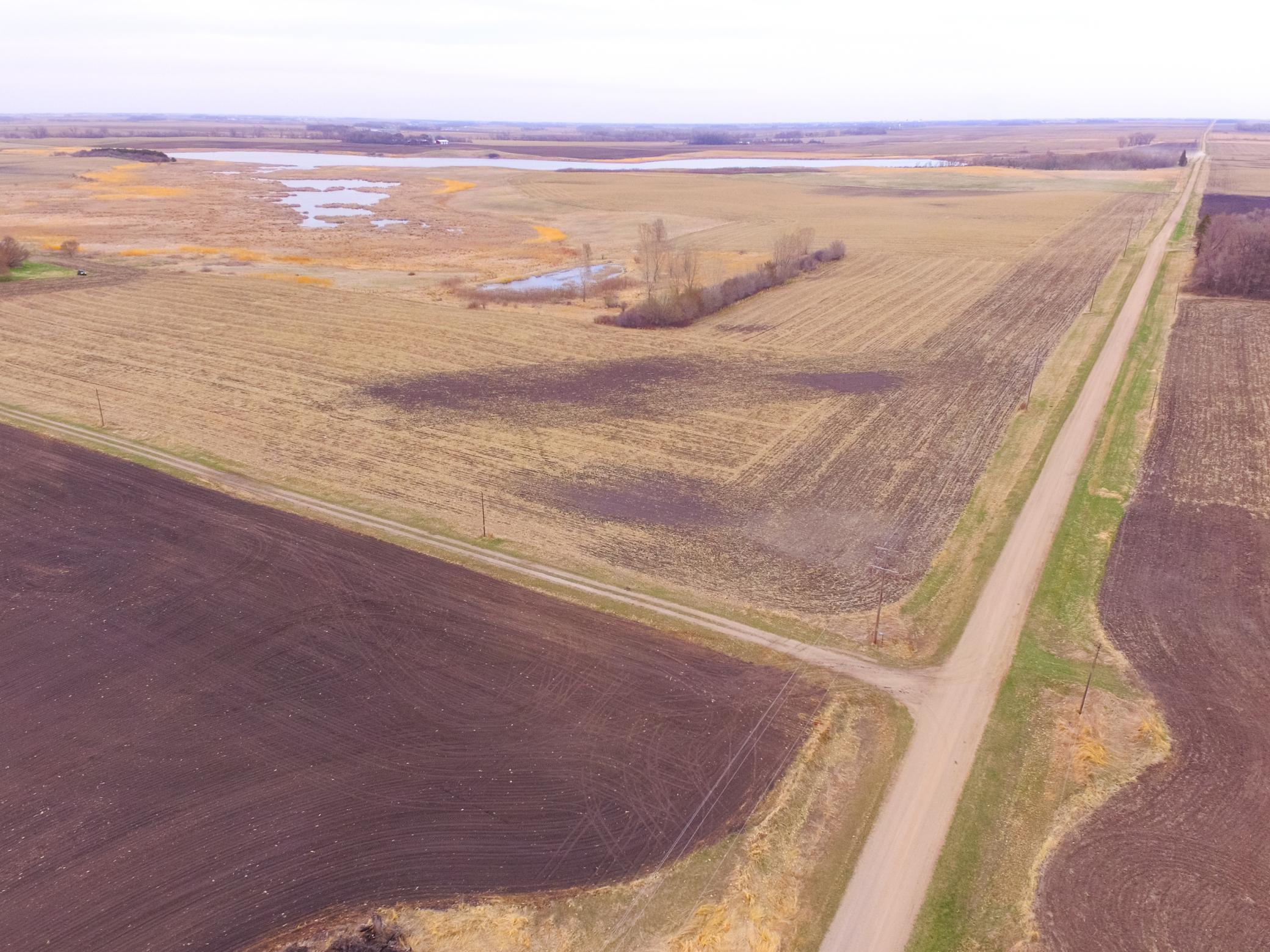 Tbd 170th Street Madison, MN 56256 - Photo 8 of 59