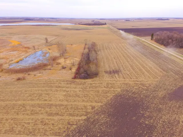 $585,300 | Tbd 170th Street, Madison, MN 56256