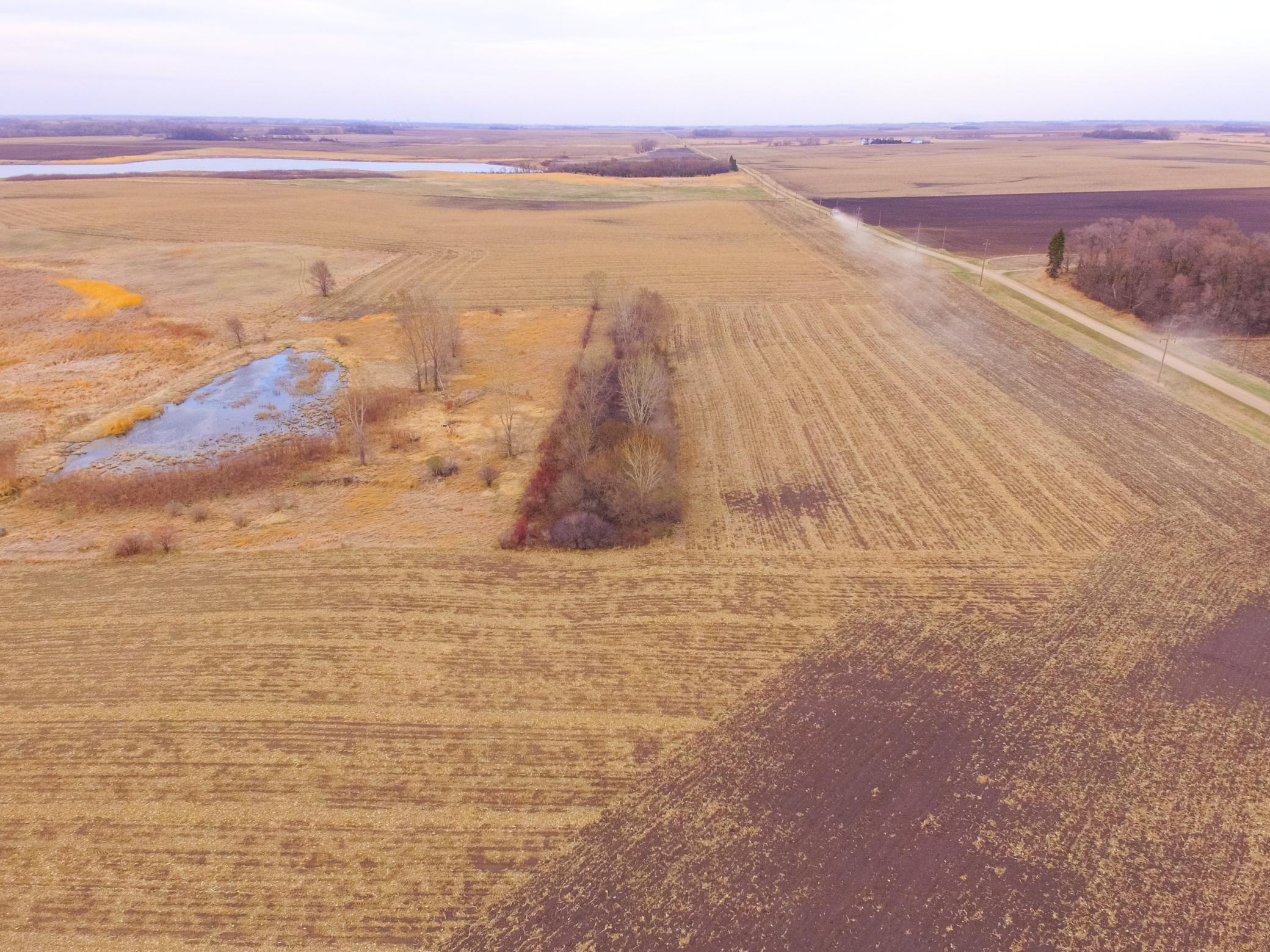 Tbd 170th Street Madison, MN 56256 - Photo 9 of 59