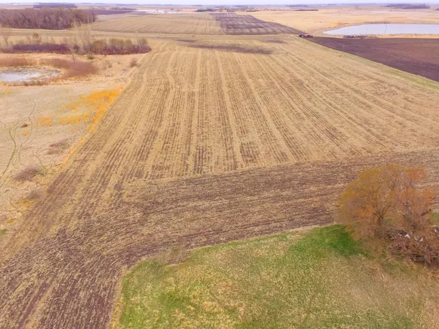 $585,300 | Tbd 170th Street, Madison, MN 56256