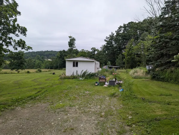 $99,000 | 330 Palmer Hill Road, Port Crane, NY 13833