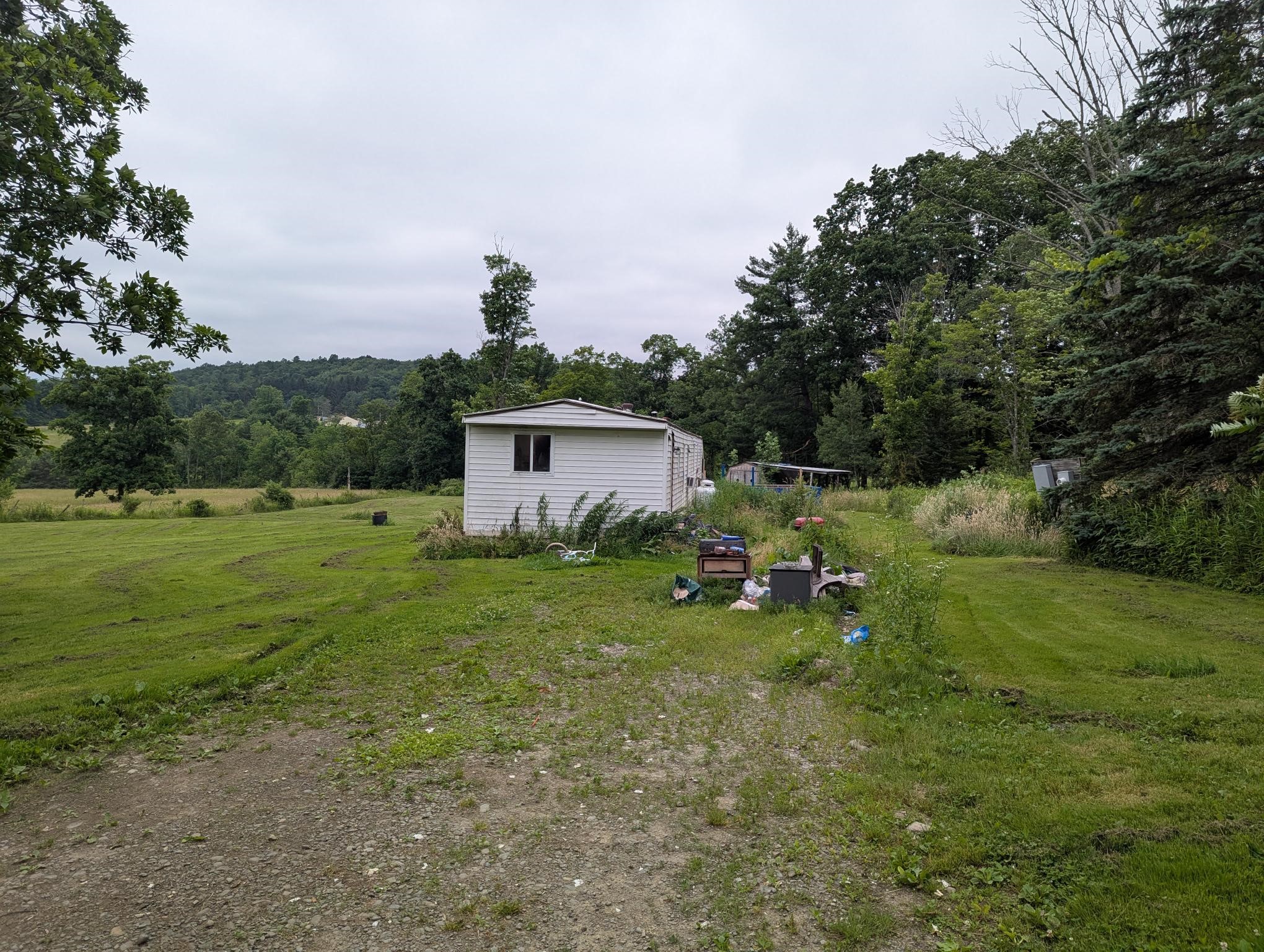330 Palmer Hill Road Port Crane, NY 13833 - Photo 3 of 3