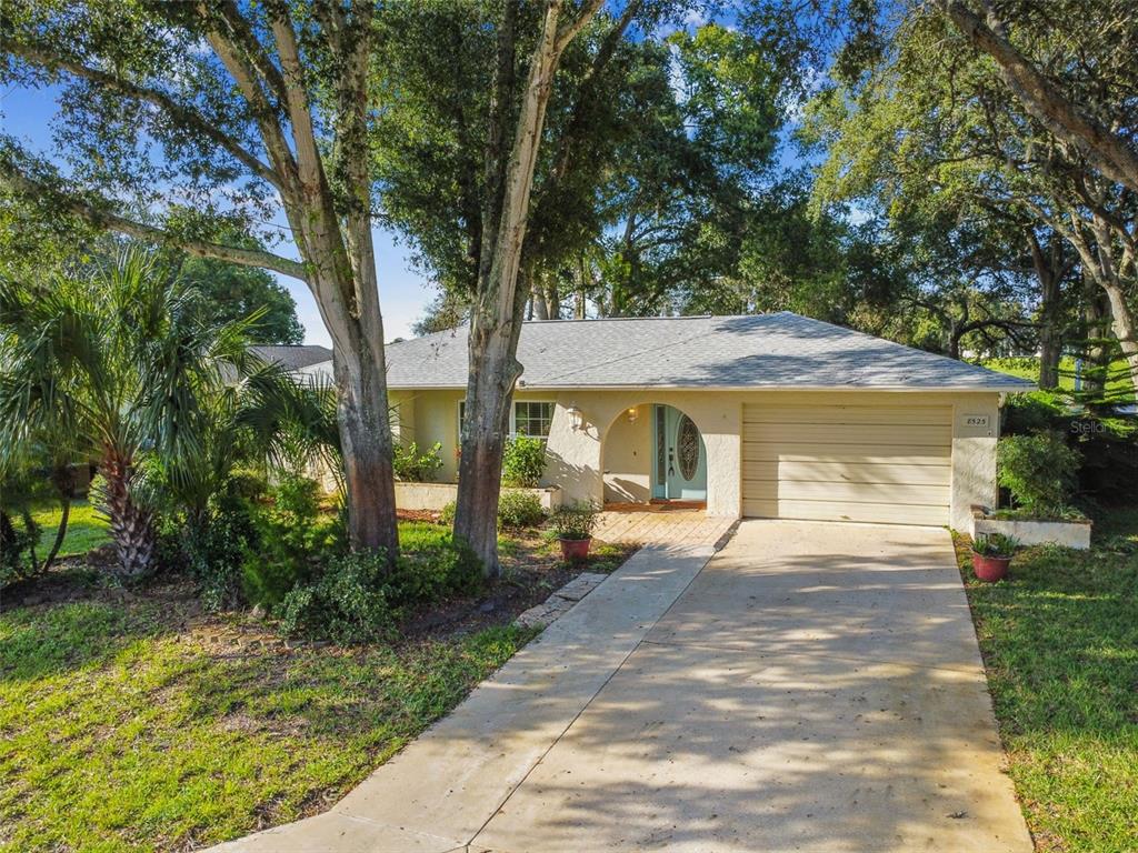 8525 Elgin Drive Port Richey, FL 34668 - Photo 1 of 1