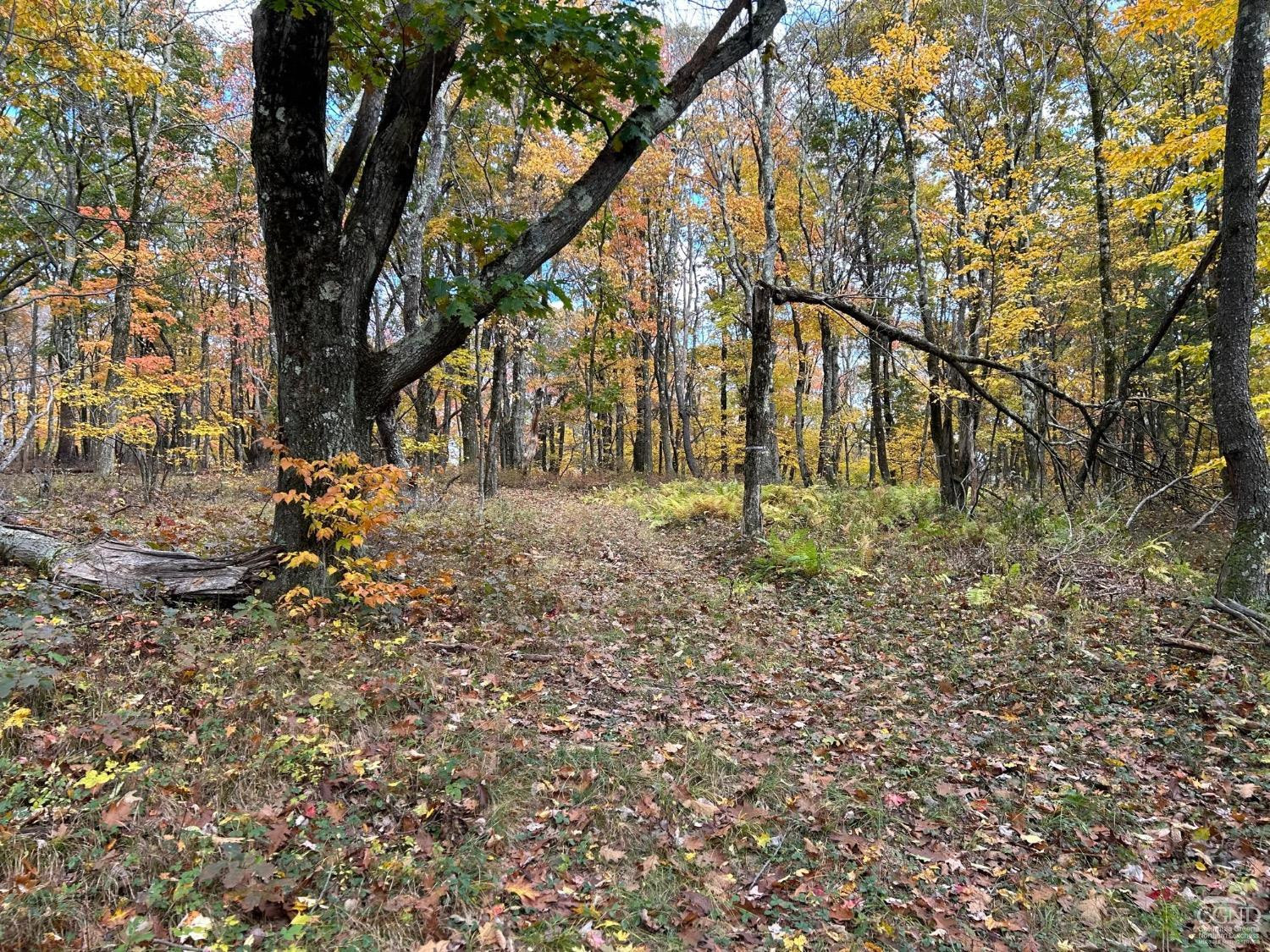 3 West Hill Road Austerlitz, NY 12017 - Photo 11 of 21 a backyard of a house with lots of green space