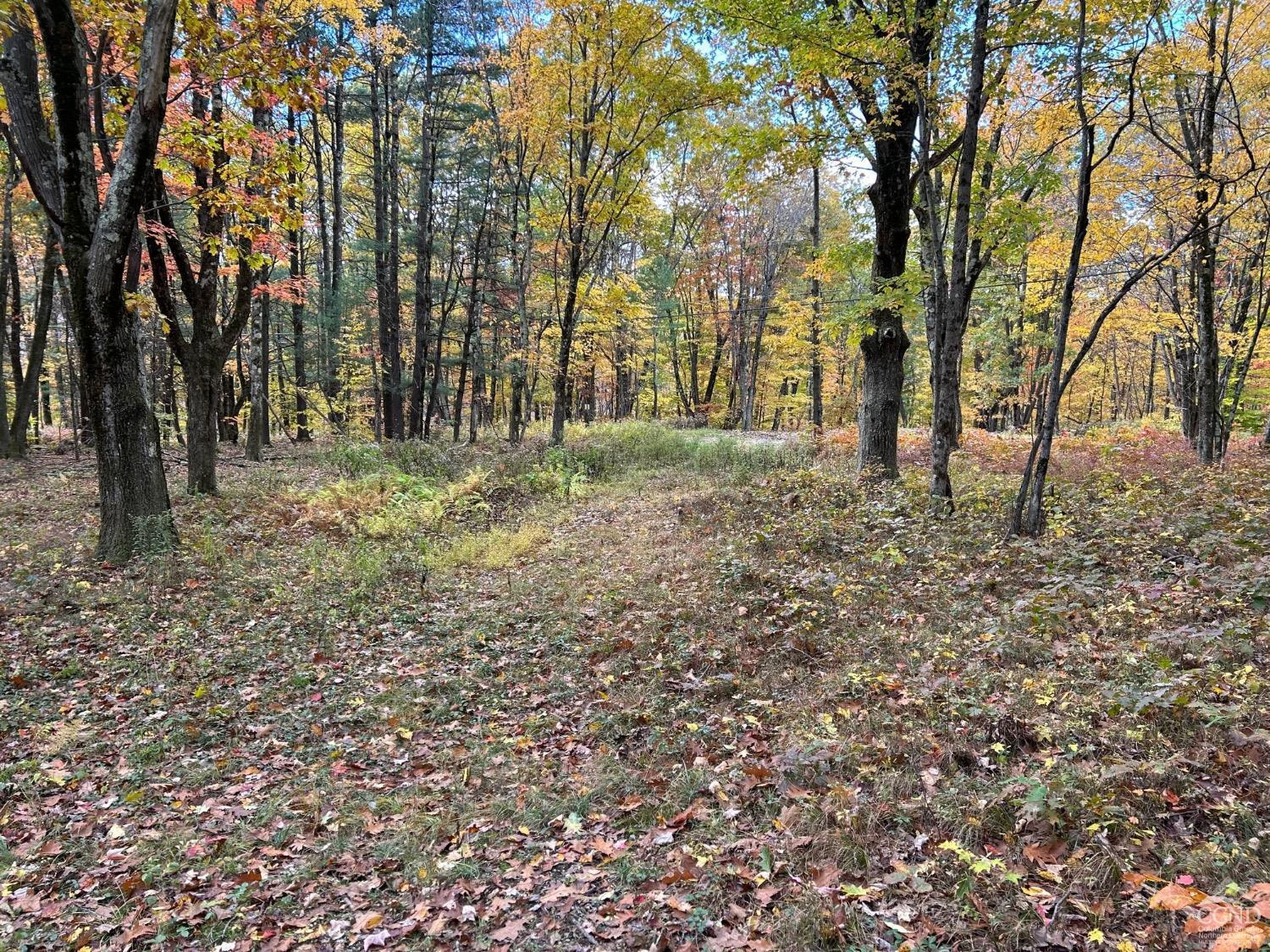 3 West Hill Road Austerlitz, NY 12017 - Photo 12 of 21 a backyard of a house with lots of green space