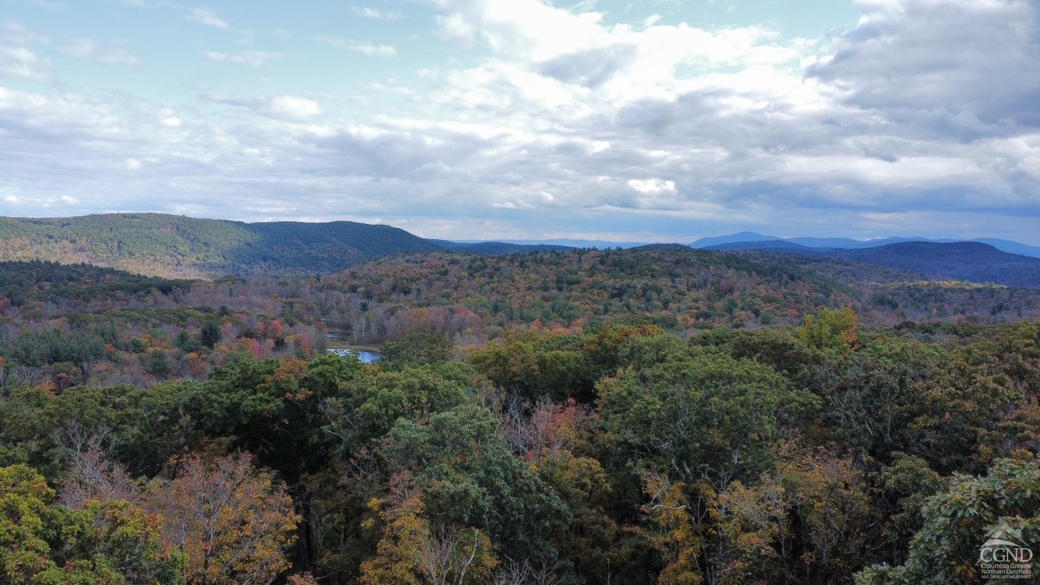 3 West Hill Road Austerlitz, NY 12017 - Photo 13 of 21 an aerial view of houses covered in trees