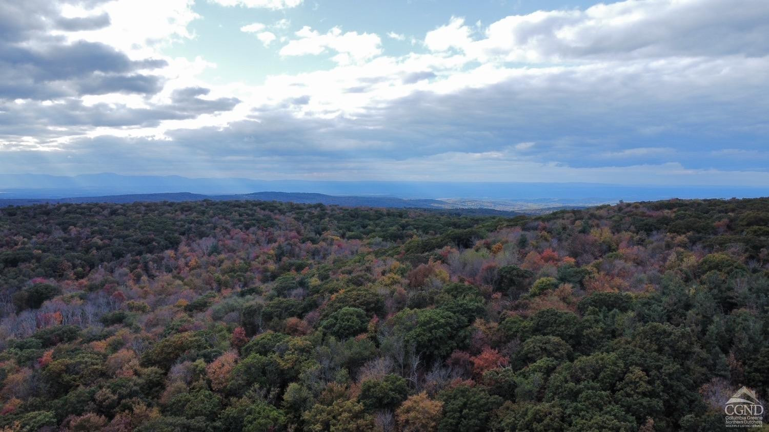 3 West Hill Road Austerlitz, NY 12017 - Photo 17 of 21 a view of a covered with lots of trees