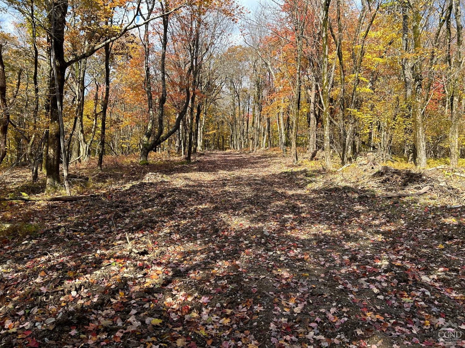 3 West Hill Road Austerlitz, NY 12017 - Photo 4 of 21 a backyard of a house with lots of green space