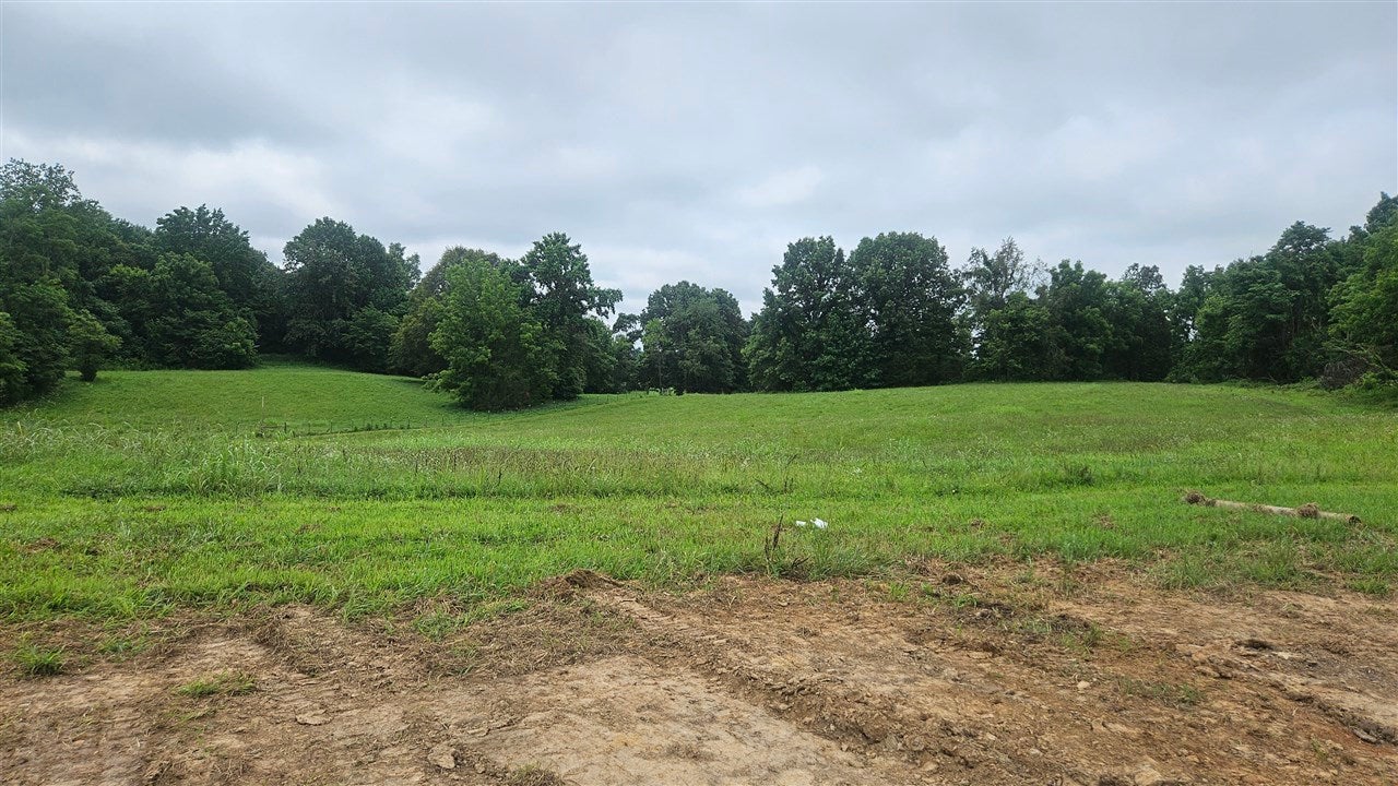 605 Phillip Whitlow Road Summer Shade, KY 42166 - Photo 28 of 34 Gallery Image 28